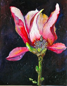 Nocturnal Dance by Tim Tiff. Photo courtesy Folsom Lake College DSPS. 